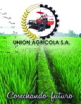 ads-banner